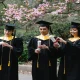 Postgraduate certificate dan postgraduate diploma