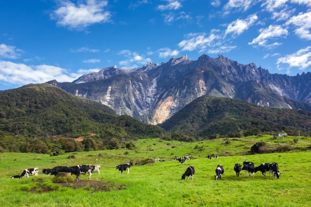 Kundasang, tempat wisata malaysia