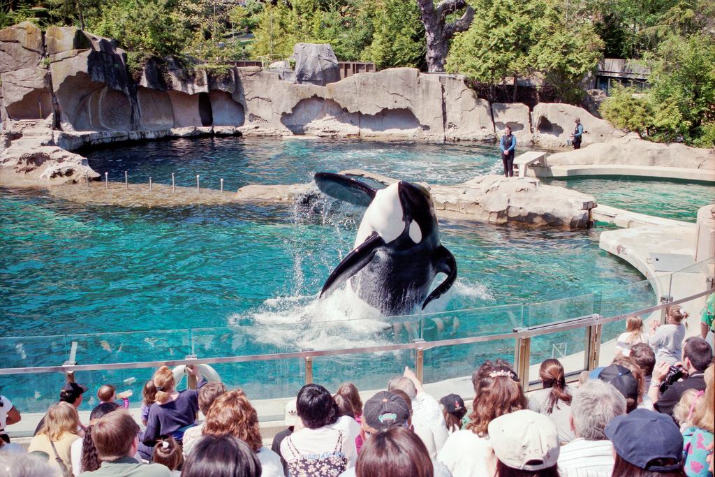 Vancouver Aquarium